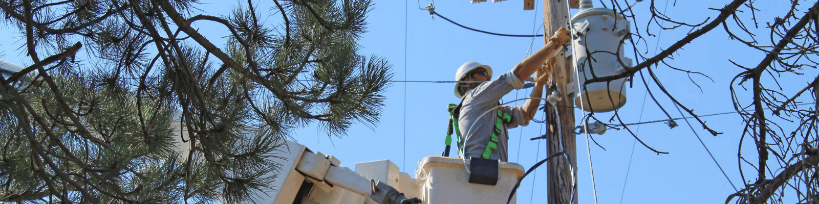 A utility worker in a bucket truck works on a transformer attached to a utility pole, surrounded by tree branches and a clear blue sky.