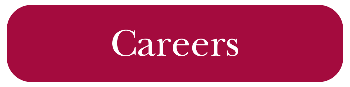 Red button with white text "Careers"