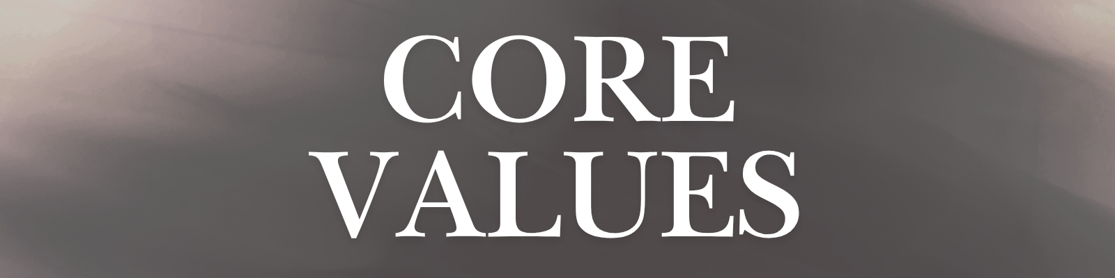 Core Values section header featuring large white text on a gray abstract background.