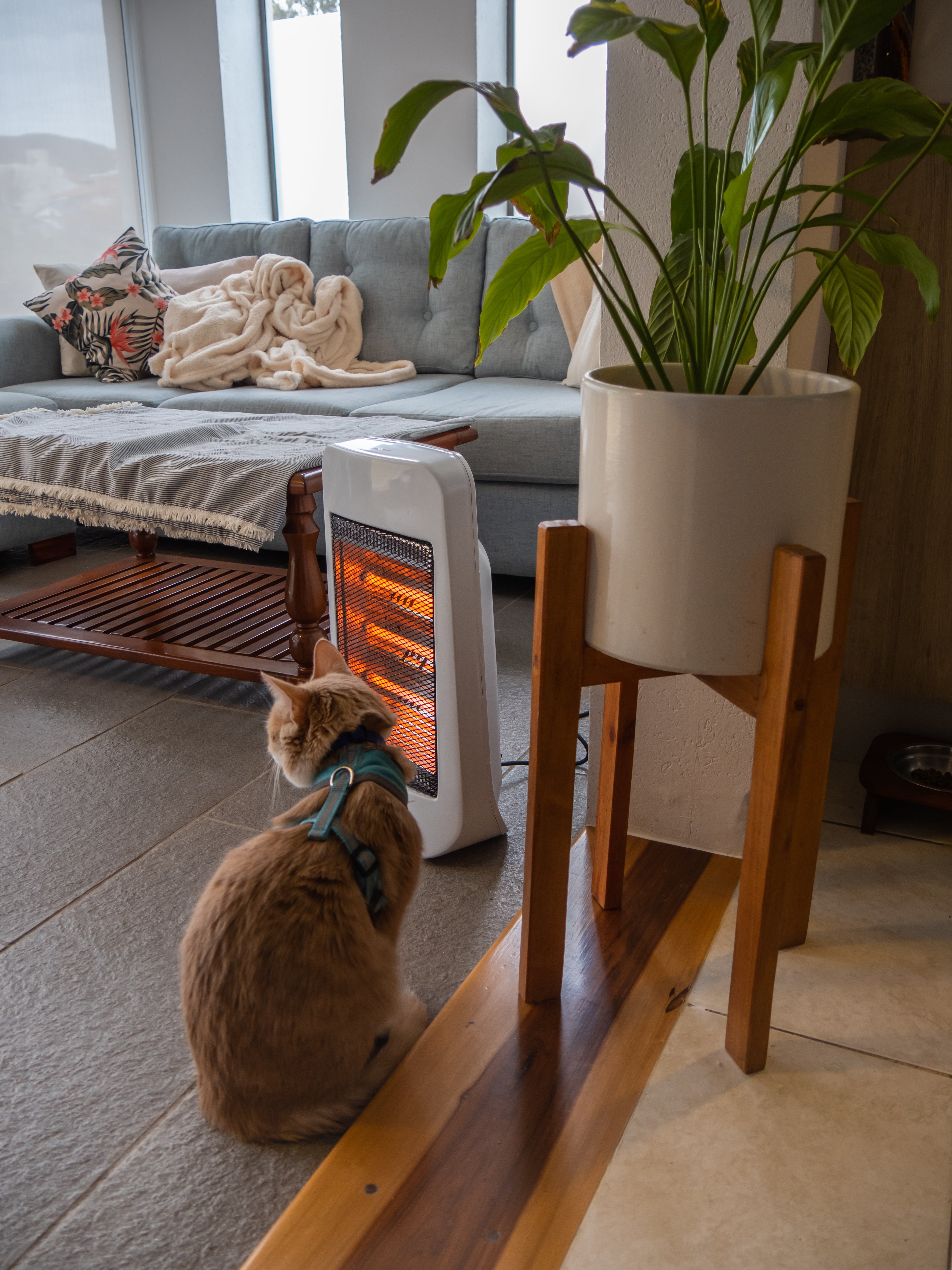 Ginger cat wearing a blue harness sitting indoors on a tiled floor in front of a modern white electric space heater to keep warm during winter.